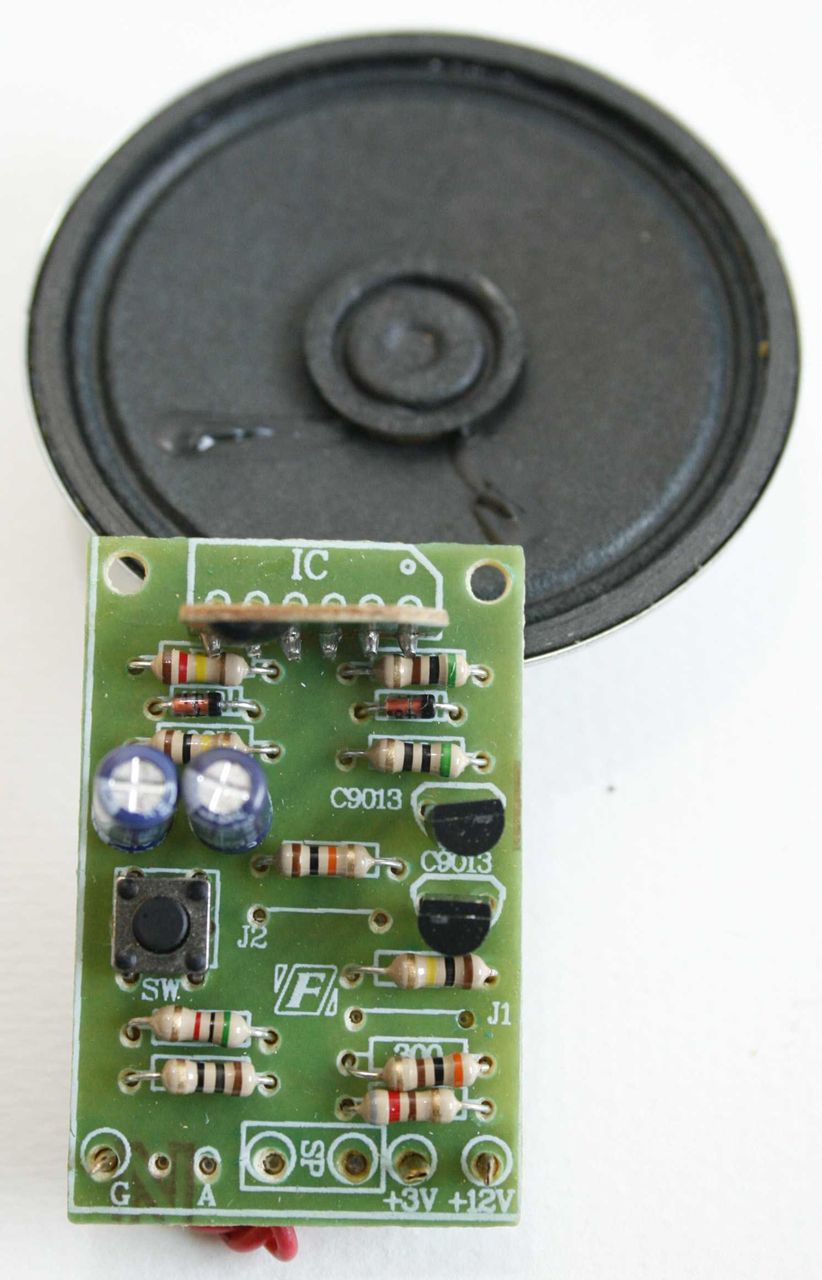 FK210: SHEEP VOICE