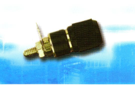 CT1404 Binding post