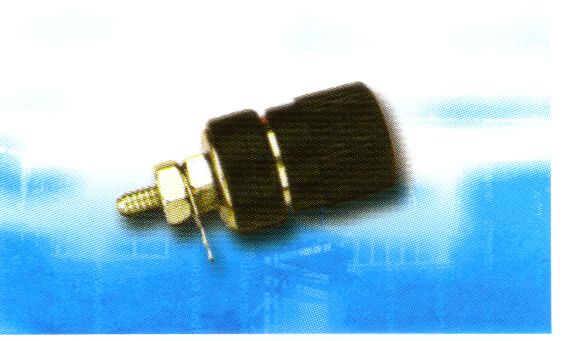 CT1406 Binding post