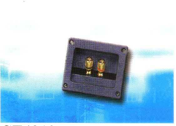 CT4219 Square base terminal cups with 2 Gold plated Binding Post