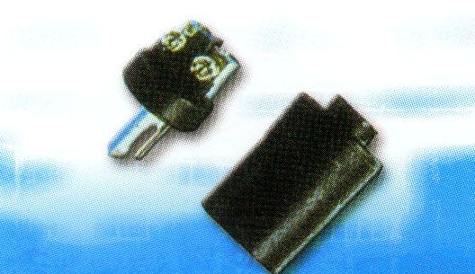 CAP1078: 2P PLUG,SCREW TYPE