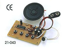 21-043:   Voice Change